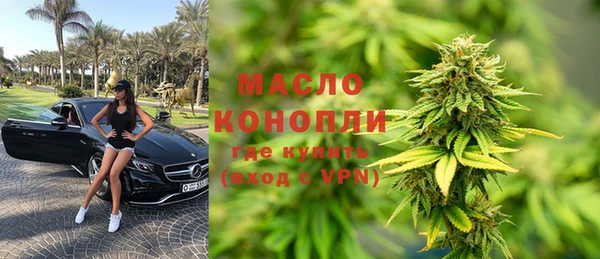 тгк Бородино