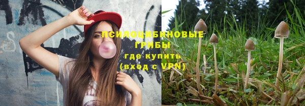 тгк Бородино