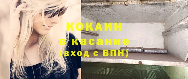 тгк Бородино