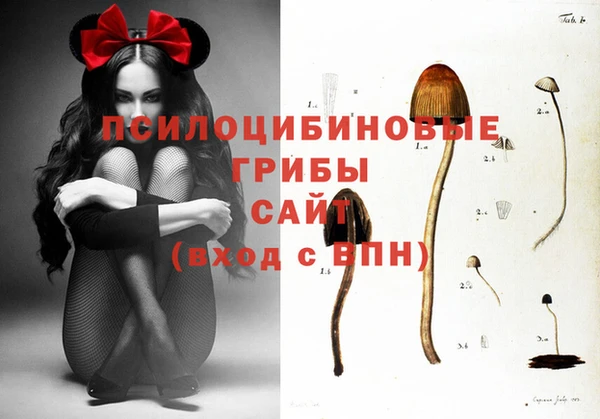 тгк Бородино